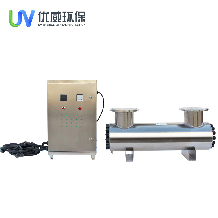 Summer beach concept