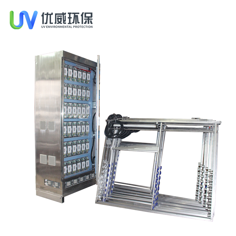 Summer beach concept