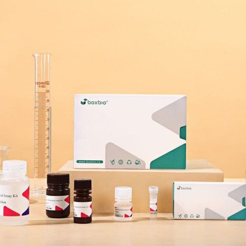 中性转化酶活性检测试剂盒 中性转化酶试剂盒