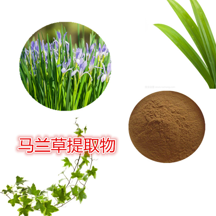 Summer beach concept