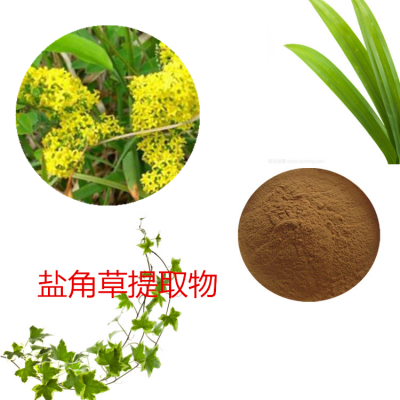 盐角草提取物 盐角草粉 盐角草速溶粉 盐角草浸膏粉