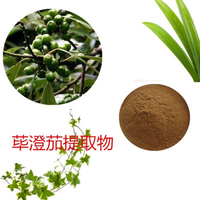 荜澄茄提取物 荜澄茄粉 荜澄茄速溶粉 荜澄茄浸膏粉