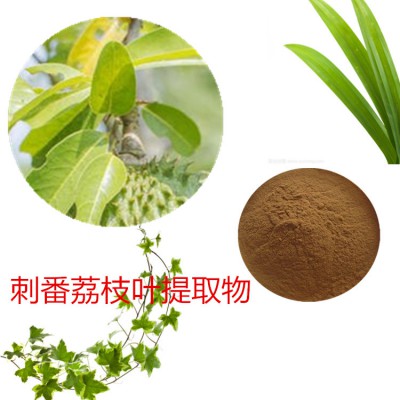 刺番荔枝叶提取物 刺番荔枝叶粉 刺番荔枝叶速溶粉