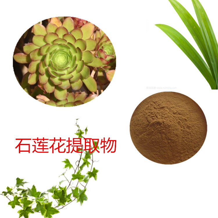 Summer beach concept