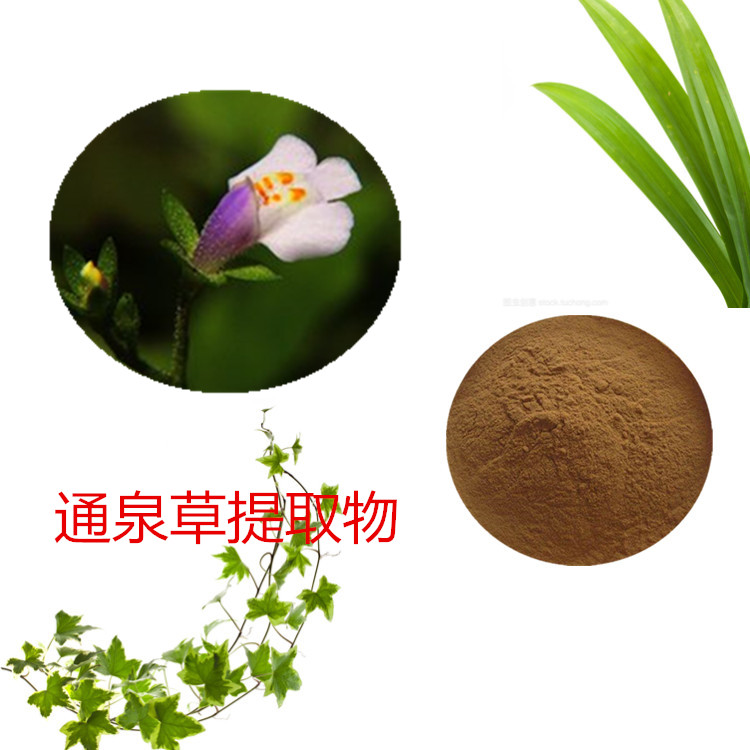 Summer beach concept