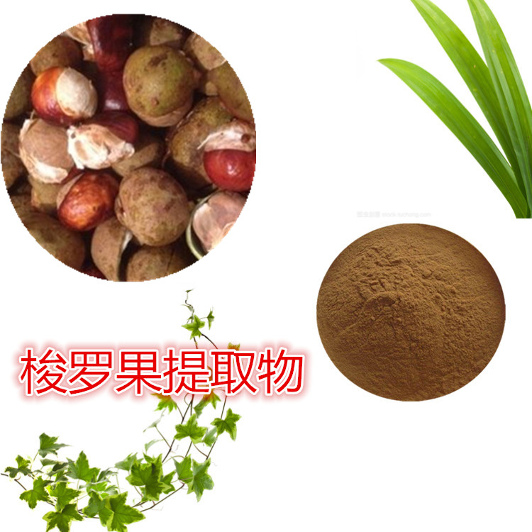 Summer beach concept