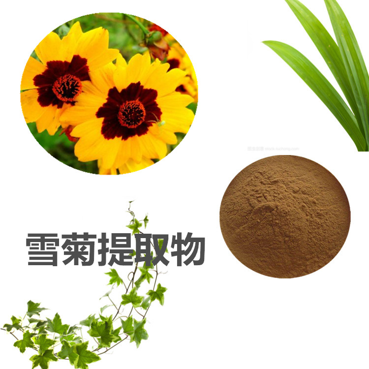 Summer beach concept