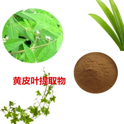 黄皮叶提取物  黄皮叶粉  黄皮叶速溶粉  黄皮叶浸膏粉