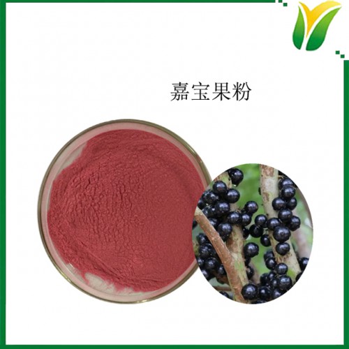 植物提取物 树葡萄粉固体饮料 树葡萄果粉