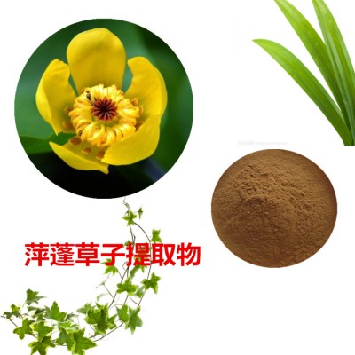 萍蓬草子提取物  萍蓬草子速溶粉 萍蓬草子浸膏粉