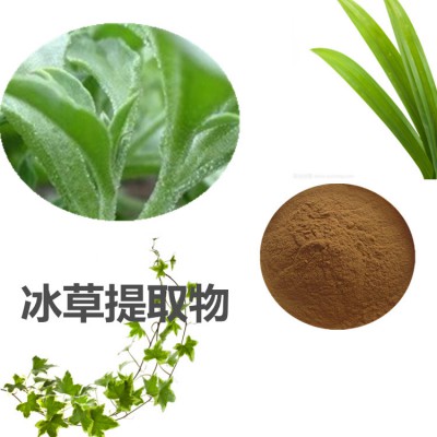 冰草提取物  冰草速溶粉 冰草浸膏粉  冰草浸膏粉