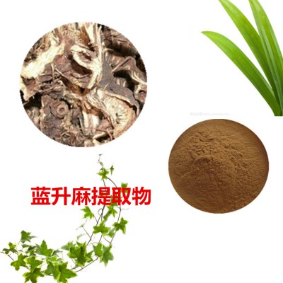 蓝升麻提取物 蓝升麻粉 蓝升麻速溶粉 蓝升麻浸膏粉