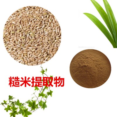 糙米提取物 糙米粉 糙米速溶粉 糙米浸膏粉