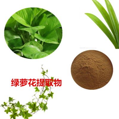 绿萝花提取物 绿萝花粉 绿萝花速溶粉 绿萝花浸膏粉
