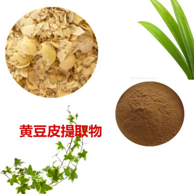 黄豆皮提取物 黄豆皮粉 黄豆皮速溶粉 黄豆皮浸膏粉