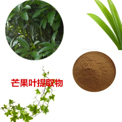芒果叶提取物  芒果叶速溶粉 芒果叶浸膏粉 芒果苷甙