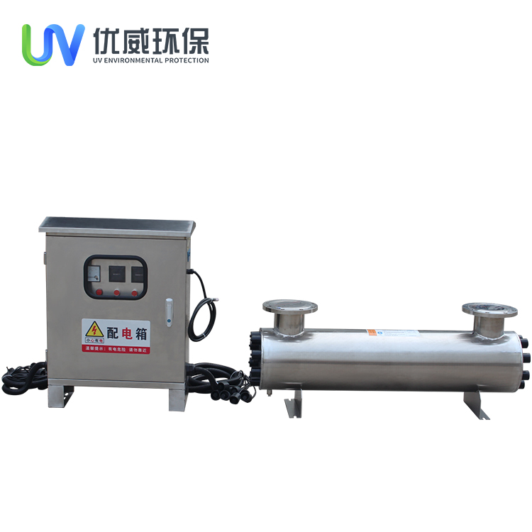 Summer beach concept