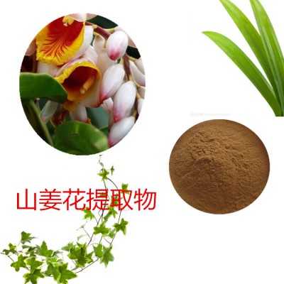 山姜花提取物  山姜花粉 山姜花速溶粉 山姜花浸膏粉