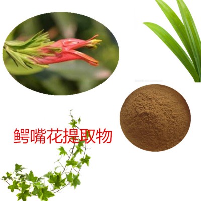 鳄嘴花提取物  鳄嘴花粉 鳄嘴花速溶粉 鳄嘴花浸膏粉