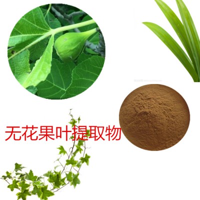 无花果叶提取物 无花果叶速溶粉 无花果叶浸膏粉