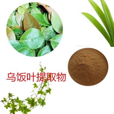 乌饭叶提取物  乌饭叶粉 乌饭叶速溶粉 乌饭叶浸膏粉