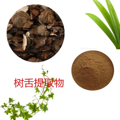 树舌提取物  树舌粉 树舌速溶粉 树舌浸膏粉