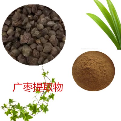 广枣提取物  广枣粉  广枣速溶粉  广枣浸膏粉