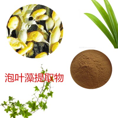 泡叶藻提取物  泡叶藻粉 泡叶藻速溶粉  泡叶藻浸膏粉
