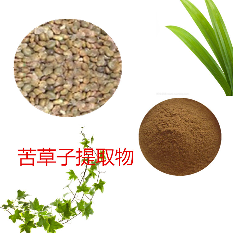 Summer beach concept