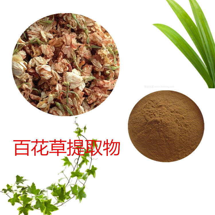 Summer beach concept