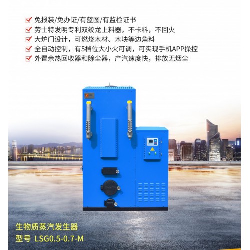 生物质蒸汽发生器 全自动生物质蒸汽发生器 蒸汽生物质发生器