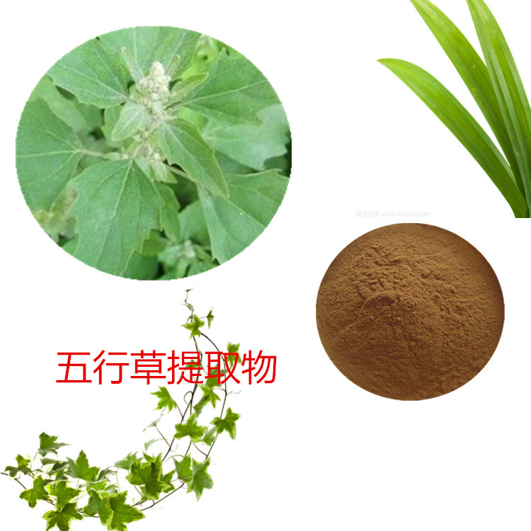 Summer beach concept