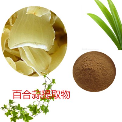 百合蒜提取物 百合蒜粉 百合蒜速溶粉  百合蒜浸膏粉