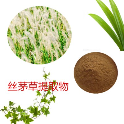 丝茅草提取物  丝茅草粉 丝茅草速溶粉 丝茅草浸膏粉