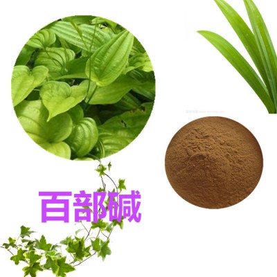 百部碱2 %  百部浸膏 百部提取物 百部速溶粉