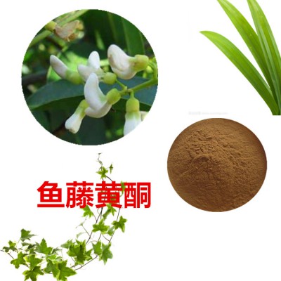 鱼藤黄酮40%  鱼藤浸膏 鱼藤提取物 鱼藤提取液