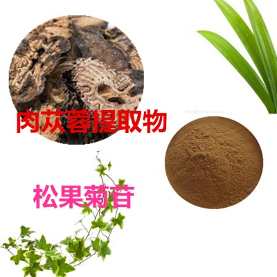 松果菊30% 肉苁蓉提取物  肉苁蓉粉   肉苁蓉浸膏