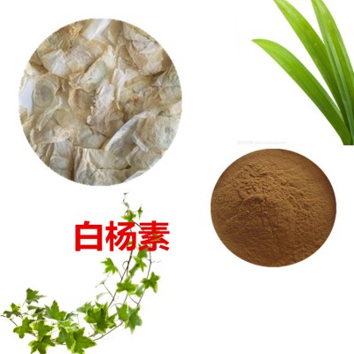 白杨素98%  木蝴蝶提取物  木蝴蝶粉   木蝴蝶浸膏