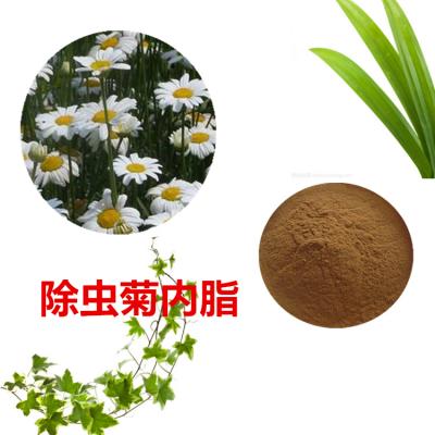 除虫菊酯50%  除虫菊提取物  除虫菊粉   除虫菊浸膏