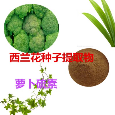 萝卜硫素 1%  西兰花种子提取物  西兰花种子粉