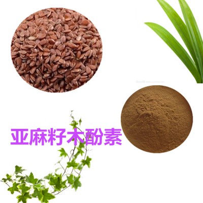 亚麻籽木酚素 40%  亚麻籽肽 亚麻籽提取物 亚麻籽肽粉