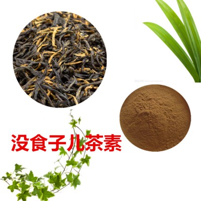 表儿茶素  没食子儿茶素  红茶提取物 红茶粉