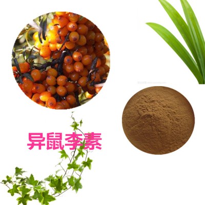 异鼠李素 沙棘提取物 沙棘黄酮 沙棘多肽