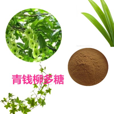 青钱柳多糖 青钱柳提取物  青钱柳粉  青钱柳浸膏