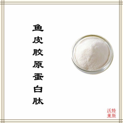 鱼皮胶原蛋白肽 鱼皮胶原蛋白  鱼皮胶原蛋白多肽