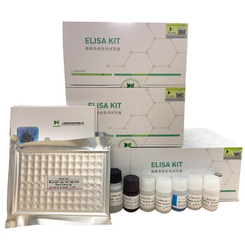 马促卵泡素(FSH)ELISA试剂盒