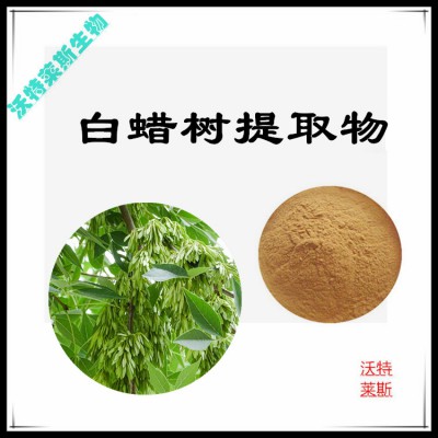 白蜡树粉  白蜡树提取物  白蜡树提取液 白蜡树浸膏