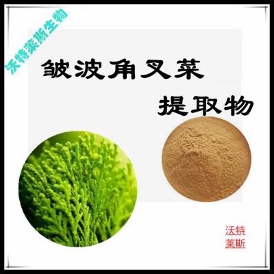皱波角叉菜粉  皱波角叉菜提取物  皱波角叉菜提取液