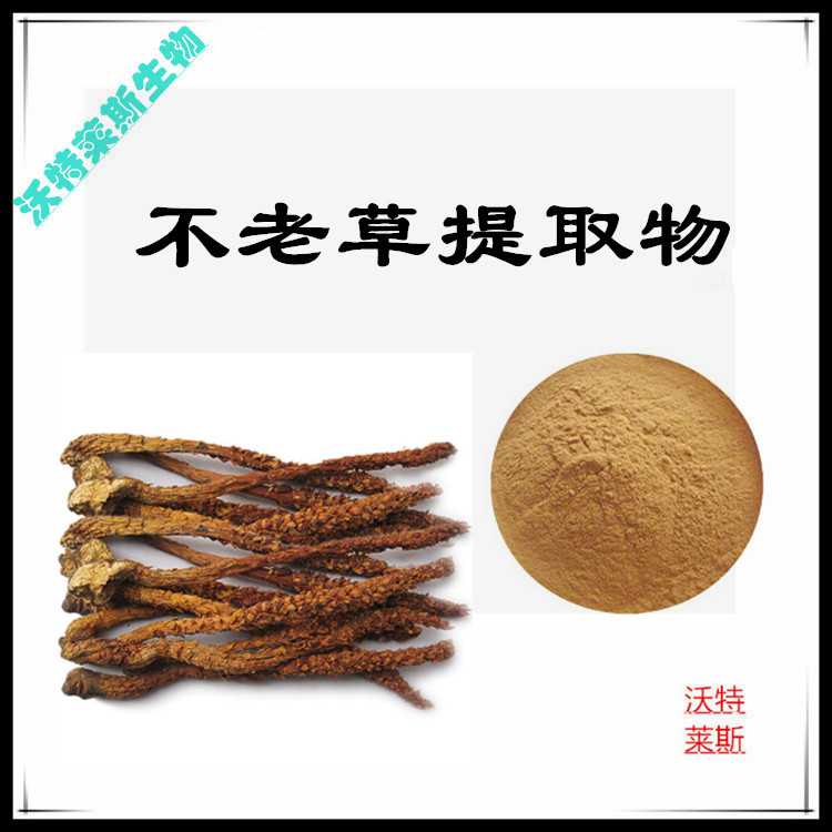 Summer beach concept