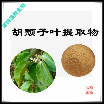 胡颓子叶粉 胡颓子叶提取物  胡颓子叶提取液 胡颓子叶浸膏